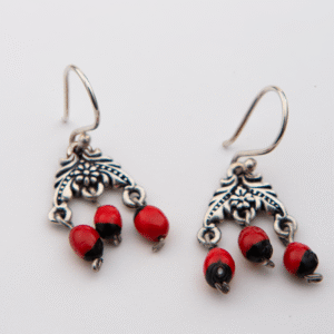 Huayruro Hoops Earrings